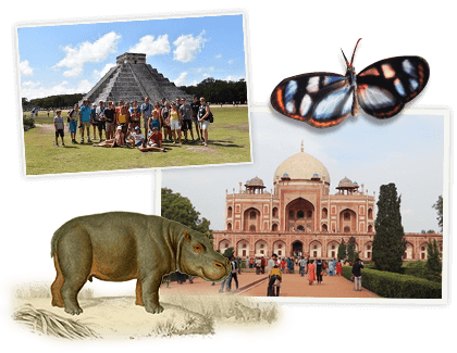 Reisethemen | Djoser Reisen