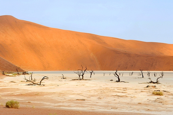 Rundreise Namibia, 21 Tage Zelt- oder Hotel & Lodge-Safari