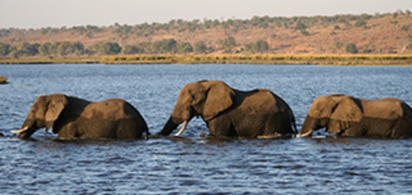 Namibia, Botswana & Simbabwe mit Kindern