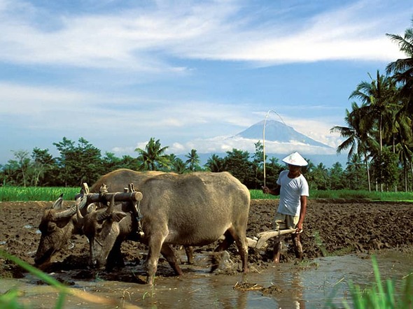 Familienreise Indonesien: Sumatra, Java & Bali, 23 Tage