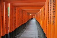 Hölzerne Toriis, Japan