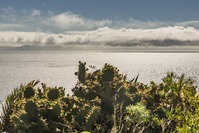 Ein Blick auf den Atlantik bei unserer Spanien La Palma Reise