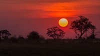Sonnenuntergang im Okavango-Delta.