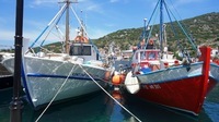 Hafen Pylos Zwei Boote am Hafen von Pylos