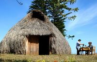 Mapuche