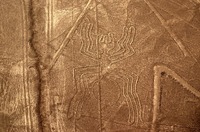 Scharrbild von Nasca