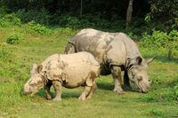 Chitwan Nationalpark