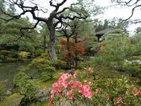 Garten, Natur, See, japan rundreise