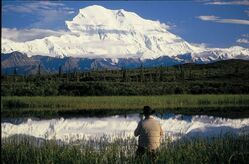 Denali, Alaska Reise