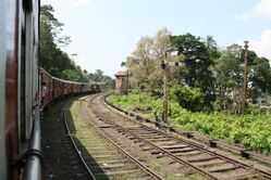 Zugfahrt, Hochland, Aussicht, Sri Lanka, rundreisen sri lanka