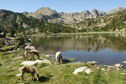 Sorteny, Naturpark, Landschaft, See, Pferde, Wanderreise