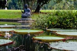 Ein Teich mit einer Buddha Figur im Hintergrund