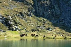Vall de Riu, Aussicht, See, Landschaft, Berge, Wanderreise