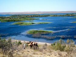 Audarkul See, Usbekistan, Landschaft, reise usbekistan