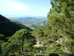 Blick auf die Landschaft zwischen den Weinbergen in Puerto de los Carboneros