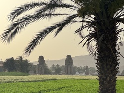 Luxor, Landschaft, Memnonkolosse, Rundreise Ägypten
