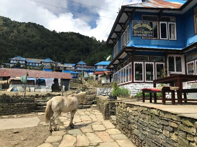 beispielhaftes Gästehaus während eurem Trekking
