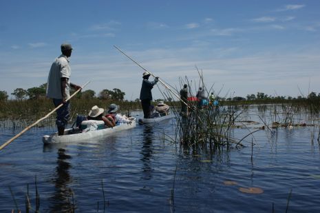 Okavangodelta, botswana mit kindern, botswana urlaub