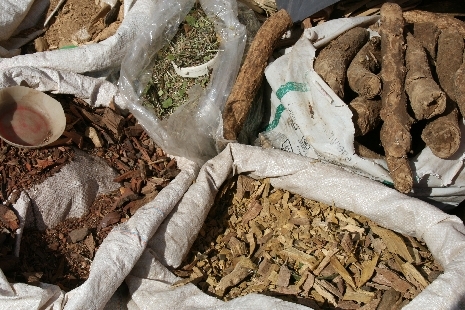 Markt in Addis Abeba