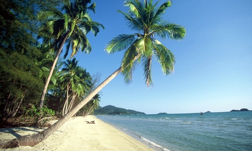 Entspannen am palmengesäumten Sandstrand auf der Tropeninsel Koh Samed. Koh Samed Palmen Strand, Thailand