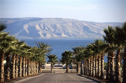 Blick auf den See Genezareth See Genezareth, Israel, Tiberias, Rundreise Israel