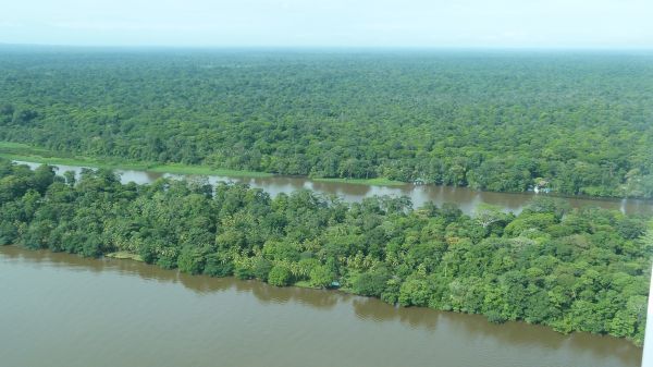 Blick auf den Tortuguero Nationalpark von oben. Costa Rica, Tortuguero Nationalpark