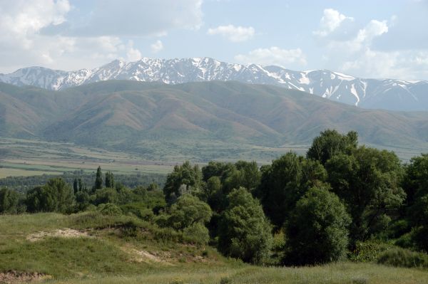 Aksu Djabagly in Kasachstan Aksu Djabagly, Naturreservat, kasachstan reise