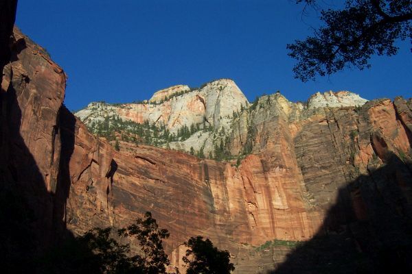 Die weißen, roten und rosafarben Sandsteinfelsen im Zion Nationalpark stellen einen fantastischen Kontrast zum blauen Himmel dar. Canyon, USA, Nationalpark, usa rundreise 3 wochen mit kindern