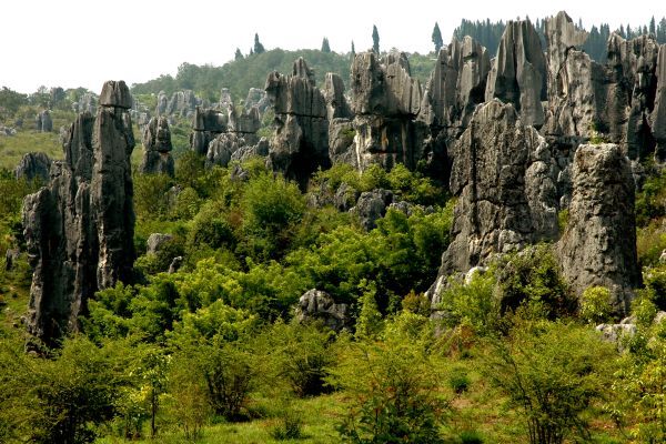 Wald, Steinwald, Natur, China Reise