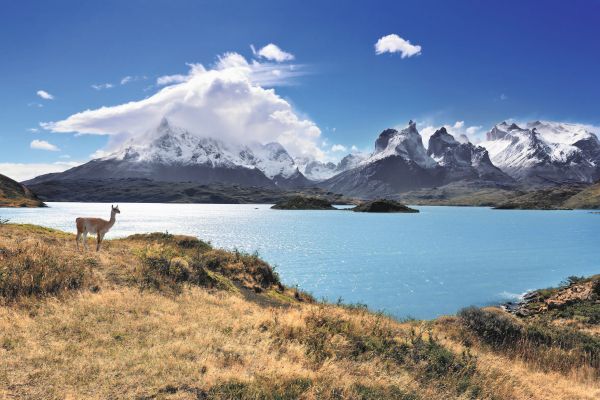 Torres del Paine NP Chile Torres del Paine NP, Chile Urlaub
