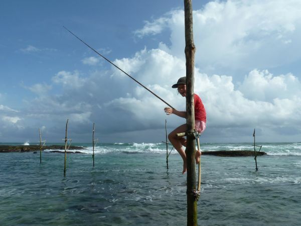 Stelzenfischer, Sri Lanka