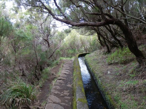 Levadas prägen das Landschaftsbild der Blumeninsel Madeira. Levada
