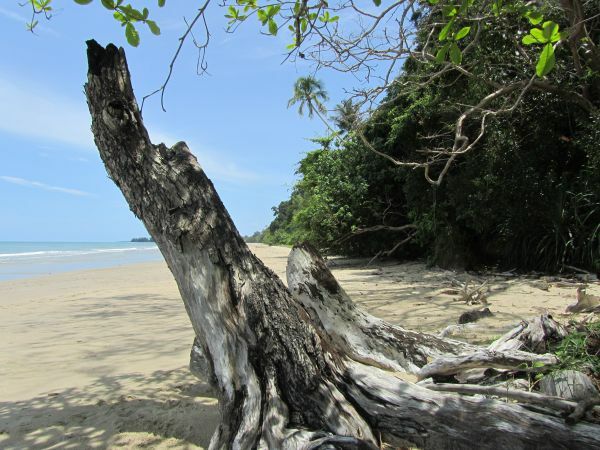 Malaysia Borneo Sabah Kota Kinabalu Kampung Beringgis Beach Resort