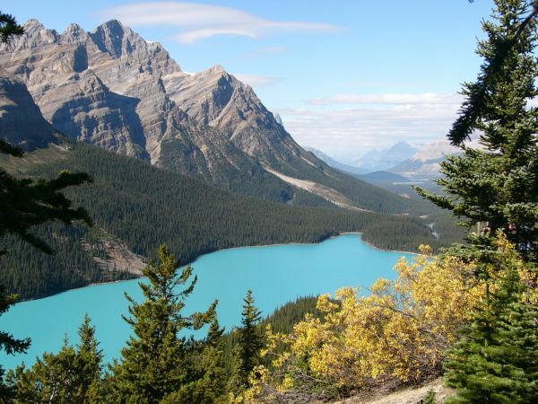 Peyto Lake, 3 Wochen Kanada Rundreise