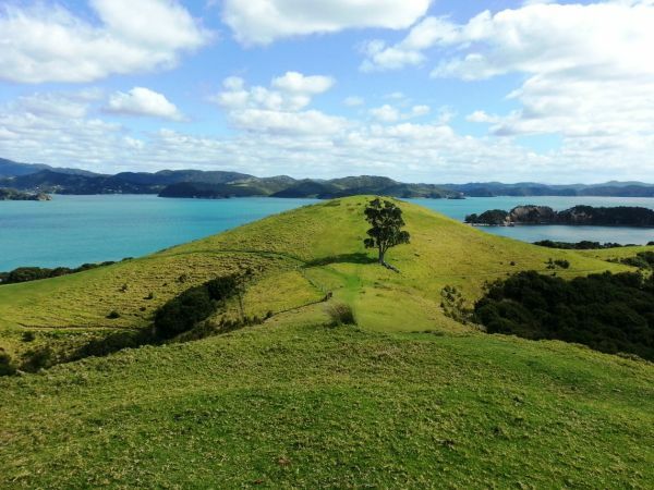 Nordinsel Neuseelands Nordinsel, Landschaft, Neuseeland, Neuseeland Urlaub