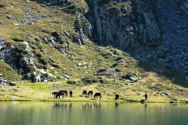 Vall de Riu Vall de Riu, Aussicht, See, Landschaft, Berge, Wanderreise