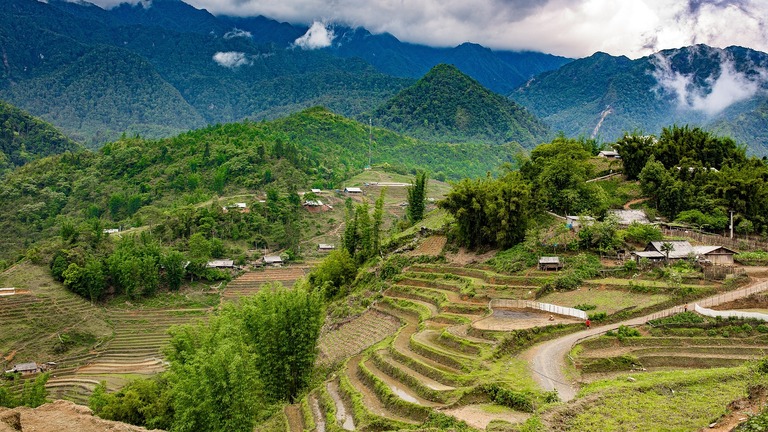 Reisfelder in Sa Pa Reisfelder, Sa Pa, Landschaft, Rundreise Vietnam, Rundreise Laos, Rundreise Kambodscha