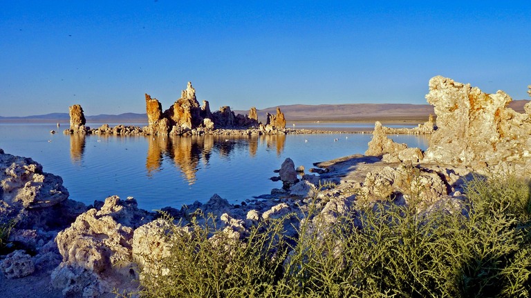 Der Mono LAke ist ein Paradies für Vogelbeobachter. Mono Lake, USA, Mondlandschaft, usa rundreise 3 wochen mit kindern