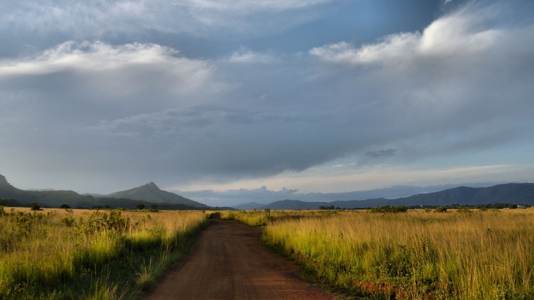 Mlilwane Naturreservat