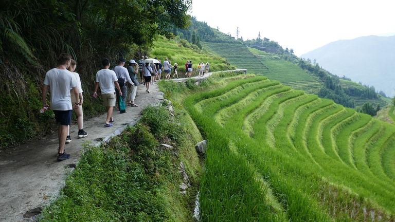 Die Reisterassen in China bieten einen wunderbaren Anblick Reisterrasse, China, Rundreise China, Familienreise China