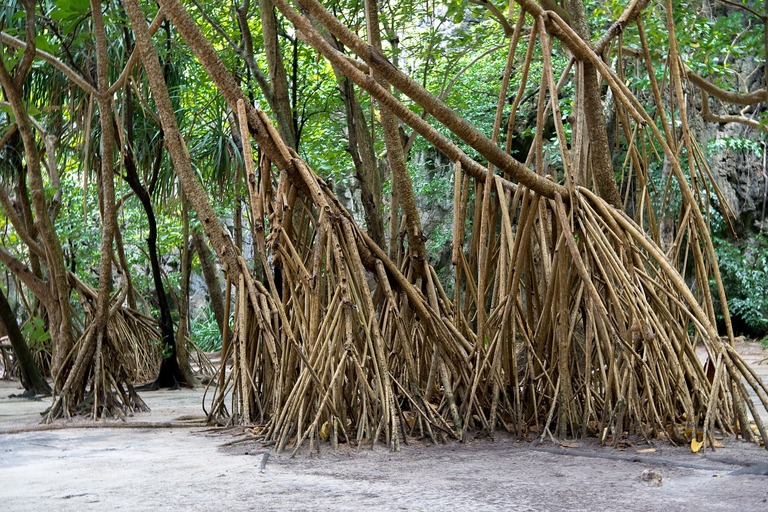 Die Insel Koh Phi Phi Koh Phi Phi, Insel, Thailand, Rundreise Thailand, Familienreise Thailand
