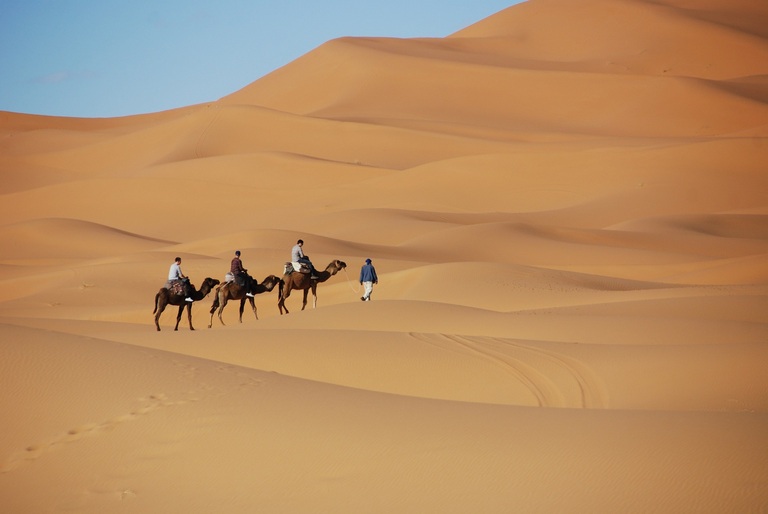 Sahara Sahara, Wüste, Marokko, Kamele, Marokko mit Kindern