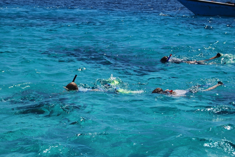 Schnorcheln im Karibischen Meer Karibik, Meer, Schnorcheln, Kuba mit Kindern, kuba urlaub