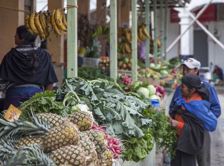 Otavalo Markt Rundreise Ecuador, Ecuador Rundreise, Wochenmarkt, Einheimische, Indigenamarkt