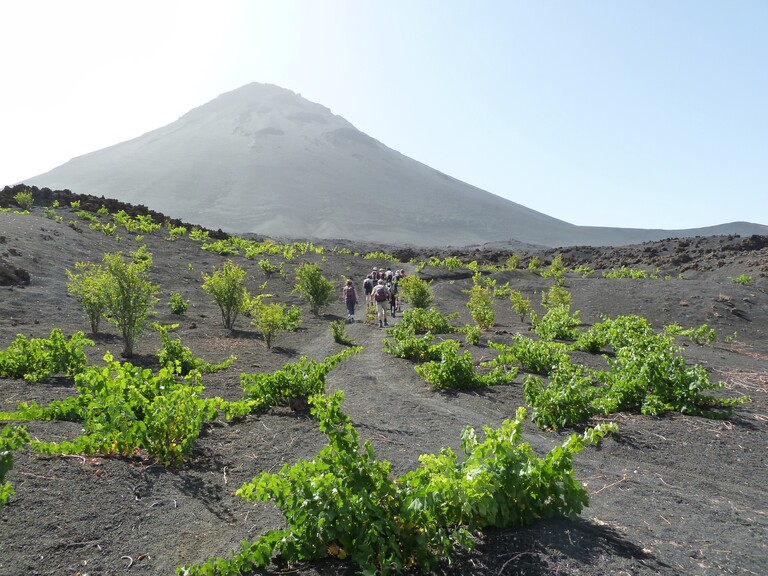 Pico de Fogo Pico de Fogo