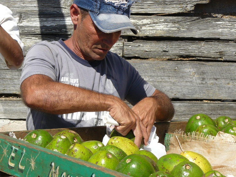 Obstverkäufer auf einem Markt Obstverkäufer auf einem Markt