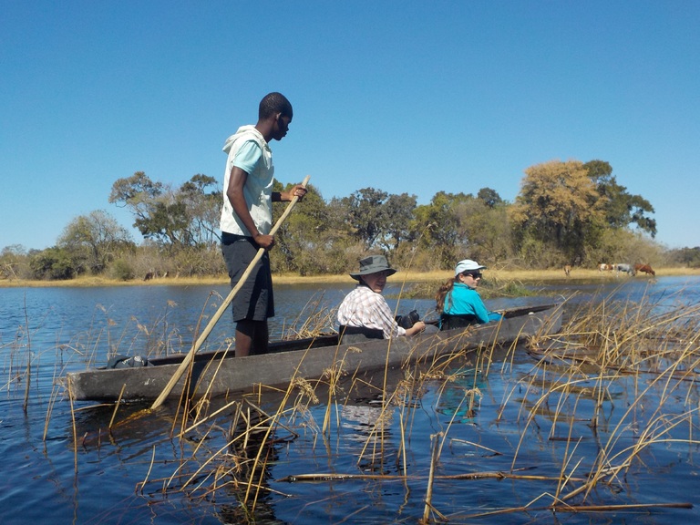 Während unserer Fahrt im Mokoro erkunden wir das Okavangodelta. Djoser Familienreise Botswana Okavangodelta Mokorofahrt