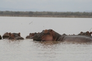 KTH_Baringo_IMG_4762