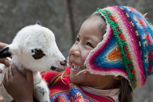 Kind, lachen, Tiere, Natur, helfen