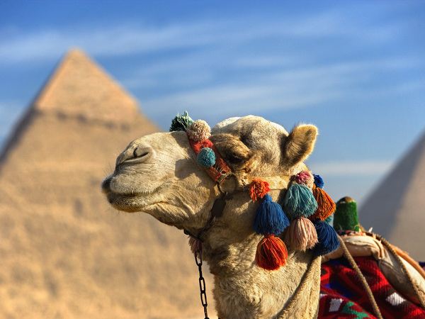 Ägypten Family